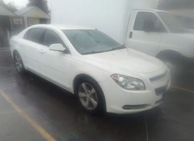 CHEVROLET MALIBU 2011 1g1zc5e16bf372559