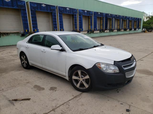 CHEVROLET MALIBU 1LT 2011 1g1zc5e16bf374411