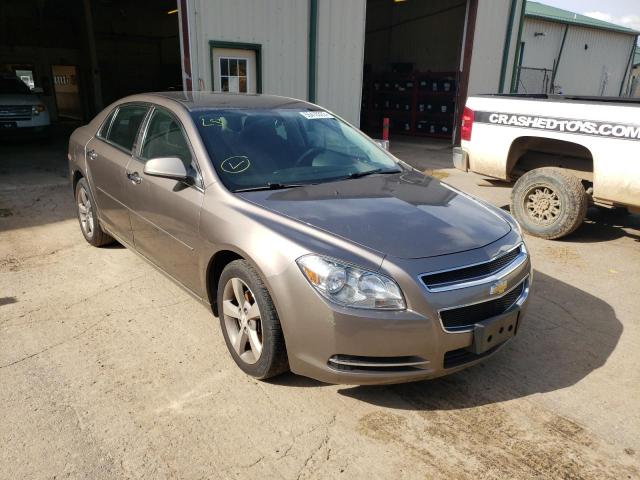 CHEVROLET MALIBU 1LT 2011 1g1zc5e16bf389765