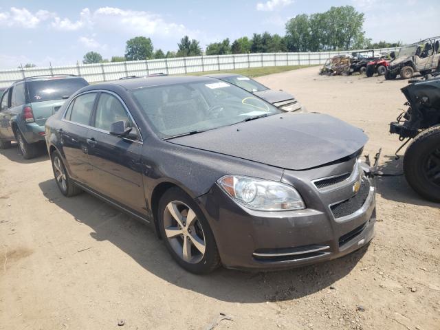 CHEVROLET NULL 2011 1g1zc5e17bf114051