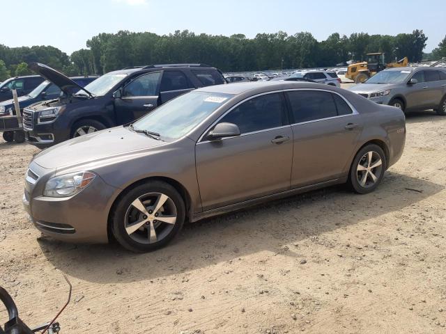 CHEVROLET MALIBU 1LT 2011 1g1zc5e17bf142092