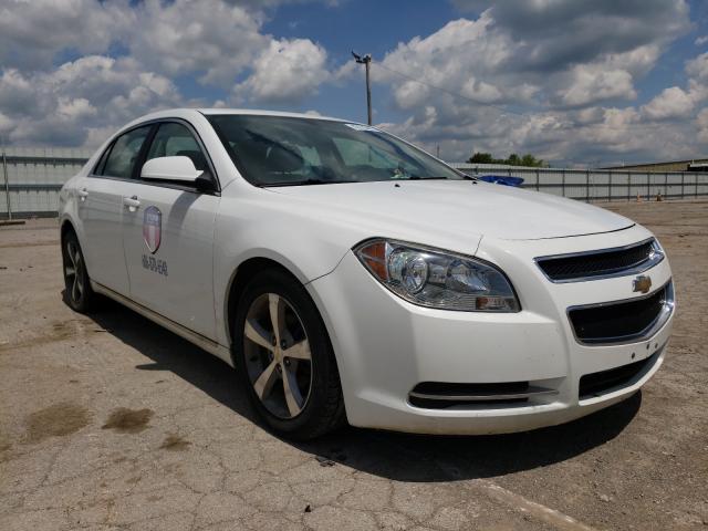 CHEVROLET MALIBU 1LT 2011 1g1zc5e17bf152301