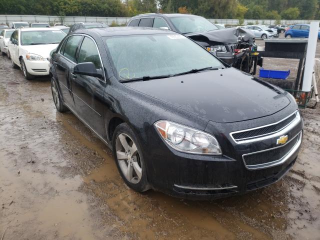 CHEVROLET MALIBU 1LT 2011 1g1zc5e17bf187775