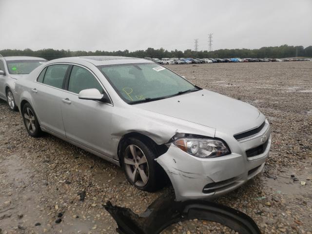 CHEVROLET MALIBU 1LT 2011 1g1zc5e17bf211055