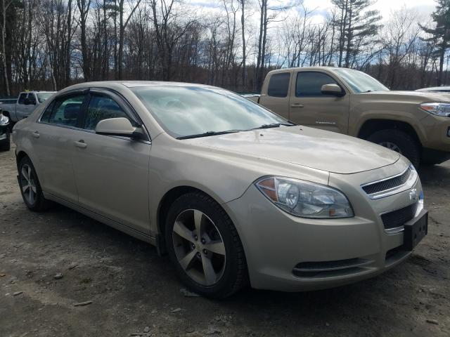 CHEVROLET MALIBU 1LT 2011 1g1zc5e17bf211704