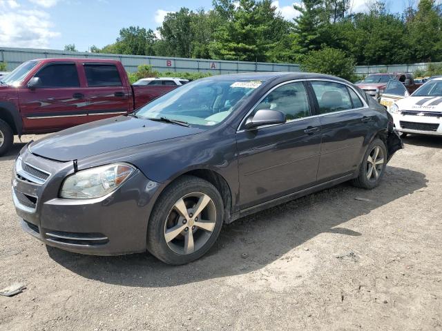 CHEVROLET MALIBU 1LT 2011 1g1zc5e17bf218992