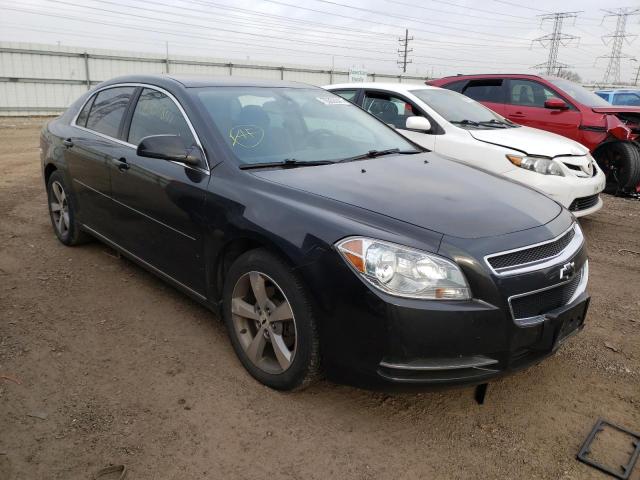 CHEVROLET MALIBU 1LT 2011 1g1zc5e17bf251359