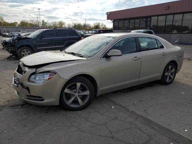 CHEVROLET MALIBU 2011 1g1zc5e17bf302388