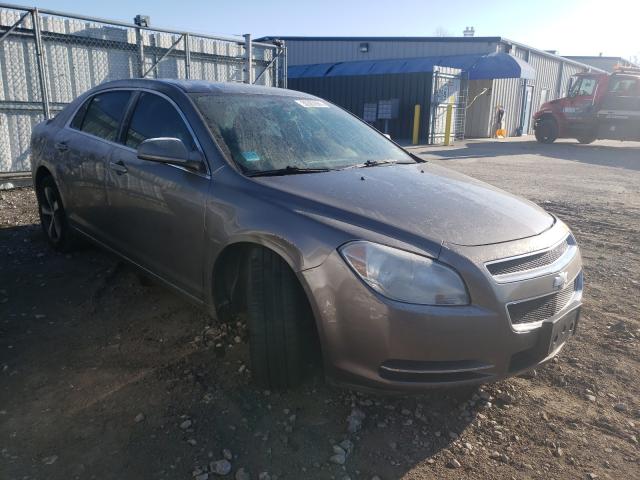 CHEVROLET MALIBU 2011 1g1zc5e17bf304707