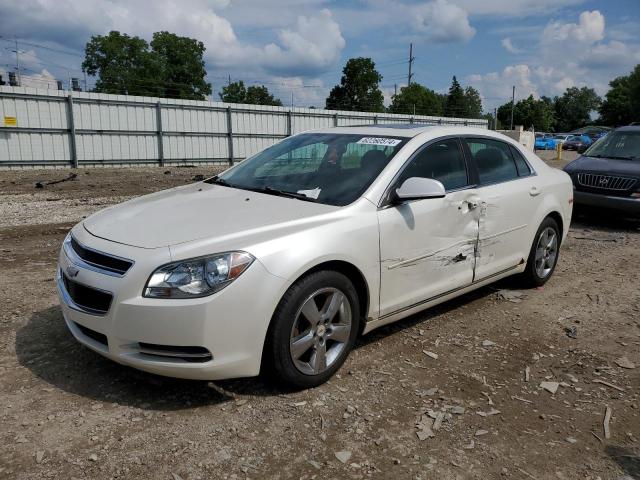 CHEVROLET MALIBU 2011 1g1zc5e17bf316291