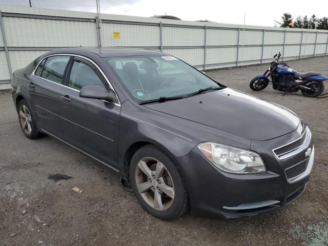 CHEVROLET MALIBU 1LT 2011 1g1zc5e17bf323239