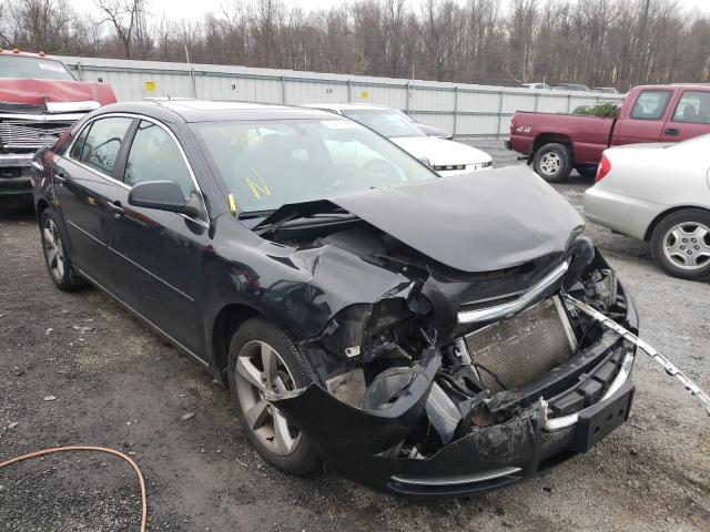 CHEVROLET MALIBU 1LT 2011 1g1zc5e17bf329591