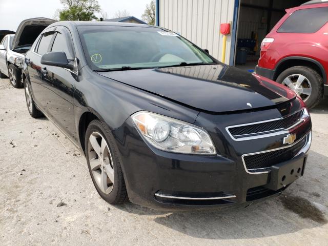 CHEVROLET MALIBU 1LT 2011 1g1zc5e17bf333009