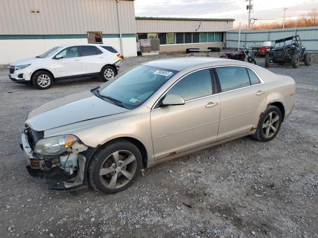 CHEVROLET MALIBU 2011 1g1zc5e17bf362462