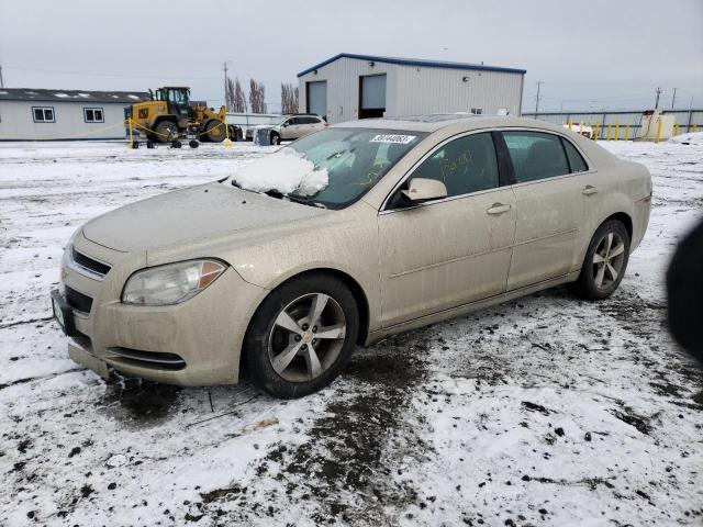 CHEVROLET MALIBU 1LT 2011 1g1zc5e17bf376989