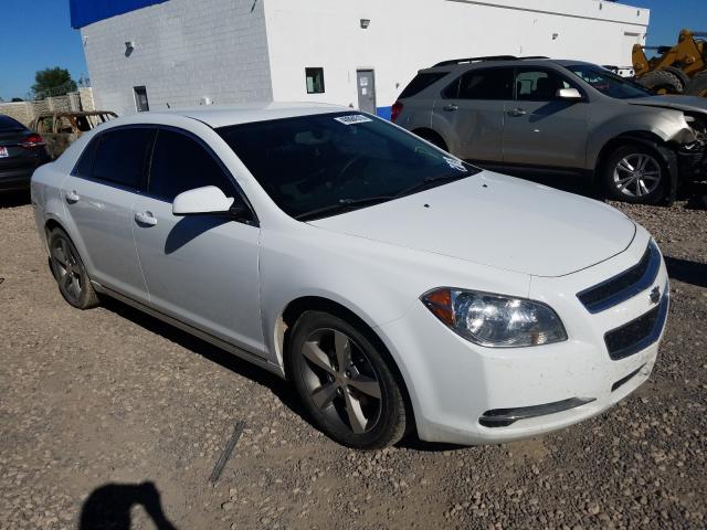 CHEVROLET MALIBU 1LT 2011 1g1zc5e17bf386504