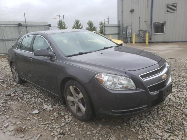 CHEVROLET MALIBU 1LT 2011 1g1zc5e18bf100465