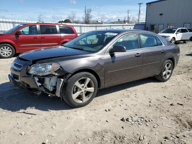 CHEVROLET MALIBU 2011 1g1zc5e18bf167454