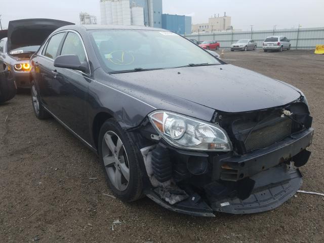 CHEVROLET MALIBU 1LT 2011 1g1zc5e18bf194296