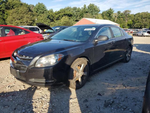 CHEVROLET MALIBU 2011 1g1zc5e18bf202736