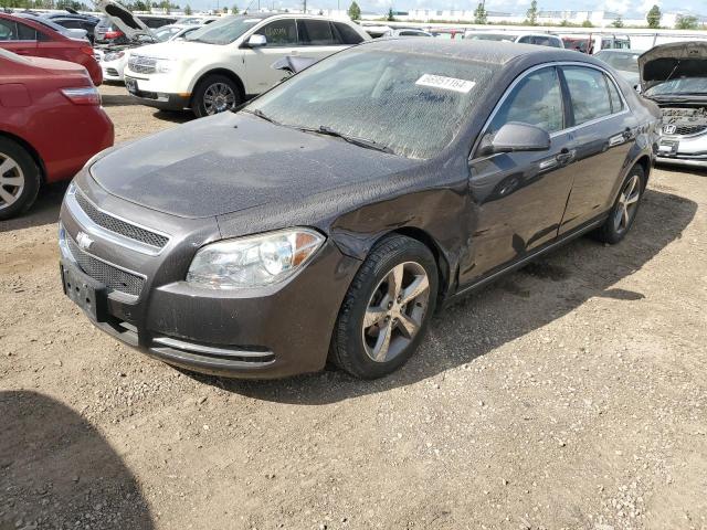 CHEVROLET MALIBU 1LT 2011 1g1zc5e18bf285102