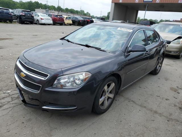 CHEVROLET MALIBU 1LT 2011 1g1zc5e18bf296049