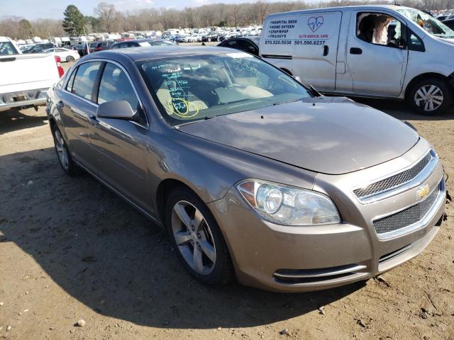 CHEVROLET MALIBU 1LT 2011 1g1zc5e18bf308376