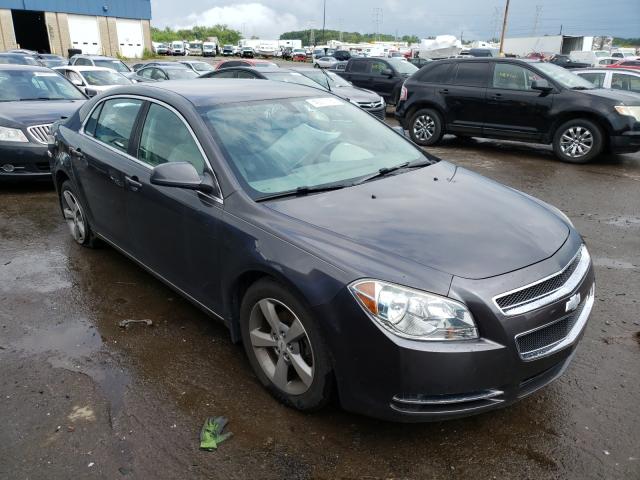 CHEVROLET MALIBU 1LT 2011 1g1zc5e18bf310502