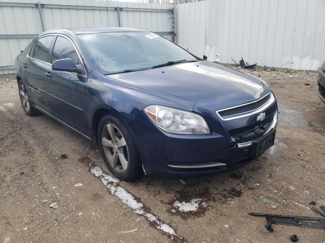 CHEVROLET MALIBU 1LT 2011 1g1zc5e18bf325503