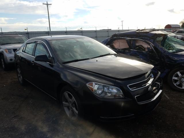 CHEVROLET MALIBU 1LT 2011 1g1zc5e18bf333522