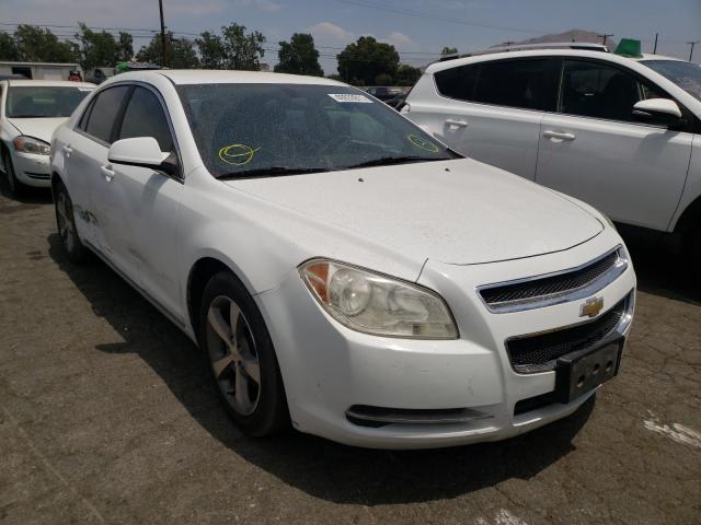 CHEVROLET MALIBU 1LT 2011 1g1zc5e18bf346934