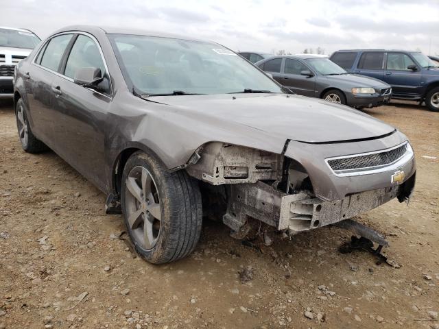 CHEVROLET MALIBU 1LT 2011 1g1zc5e18bf347324