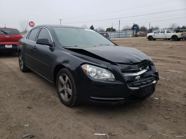 CHEVROLET MALIBU 1LT 2011 1g1zc5e18bf380470