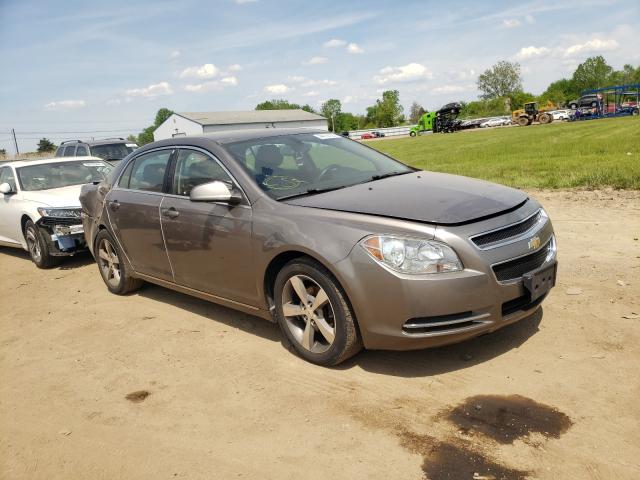 CHEVROLET MALIBU 1LT 2011 1g1zc5e18bf397656