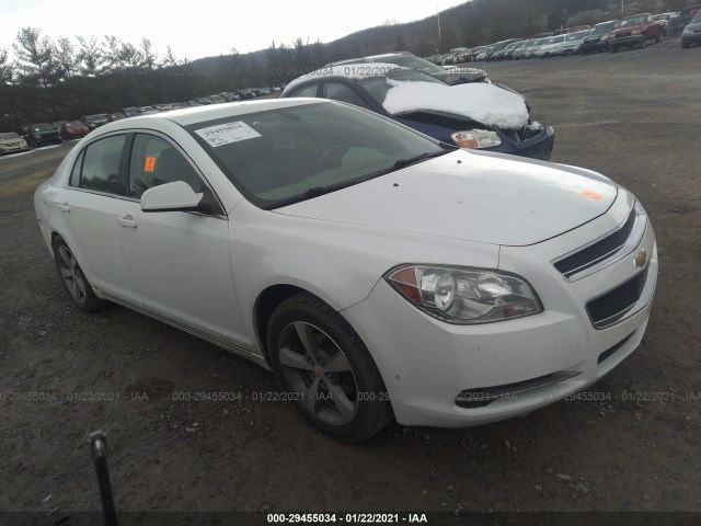 CHEVROLET MALIBU 2011 1g1zc5e19bf101141