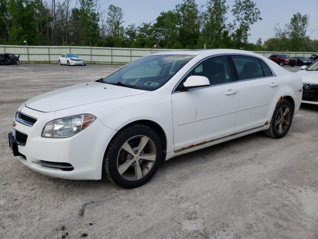 CHEVROLET MALIBU 1LT 2011 1g1zc5e19bf107408