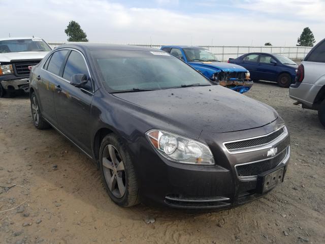 CHEVROLET MALIBU 1LT 2011 1g1zc5e19bf111460