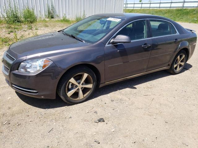 CHEVROLET MALIBU 2011 1g1zc5e19bf118229