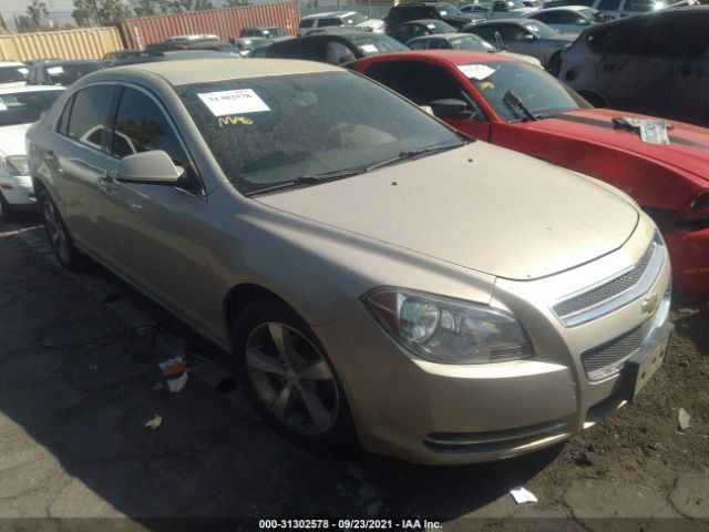 CHEVROLET MALIBU 2011 1g1zc5e19bf128551