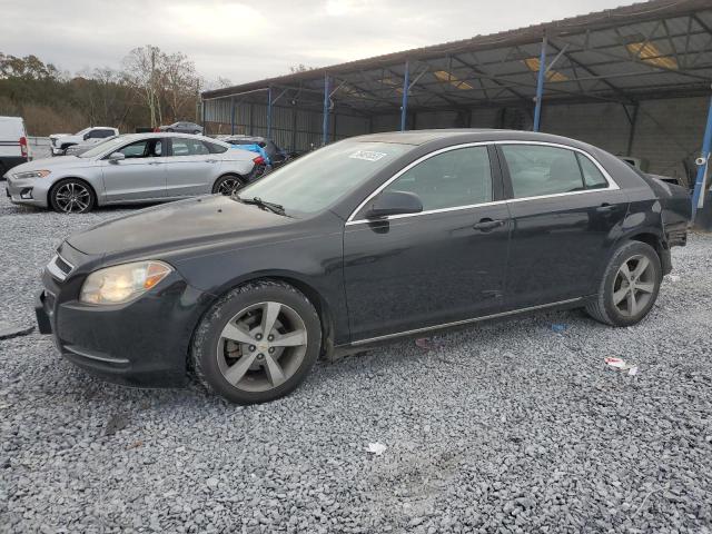 CHEVROLET MALIBU 2011 1g1zc5e19bf138254