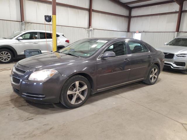 CHEVROLET MALIBU 2011 1g1zc5e19bf152557