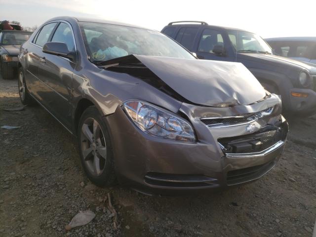 CHEVROLET MALIBU 1LT 2011 1g1zc5e19bf156074