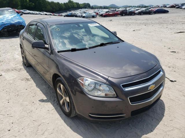 CHEVROLET MALIBU 1LT 2011 1g1zc5e19bf165549