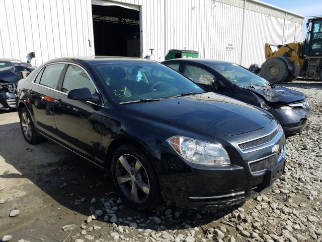 CHEVROLET MALIBU 1LT 2011 1g1zc5e19bf172887