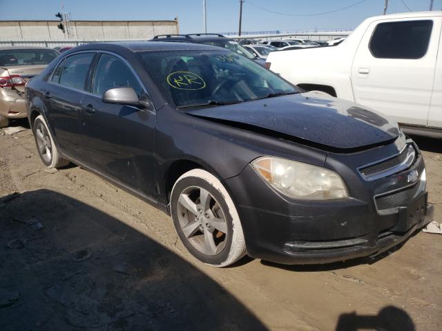 CHEVROLET MALIBU 1LT 2011 1g1zc5e19bf194467