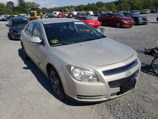 CHEVROLET MALIBU 1LT 2011 1g1zc5e19bf202437