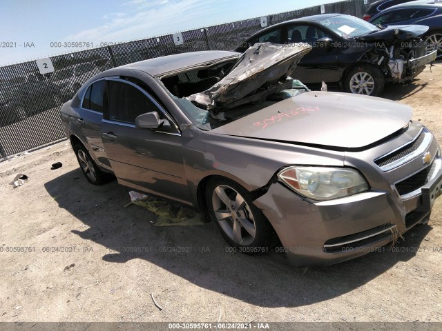 CHEVROLET MALIBU 2011 1g1zc5e19bf225300