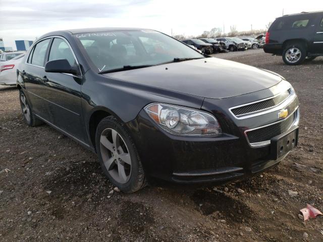 CHEVROLET MALIBU 1LT 2011 1g1zc5e19bf234871