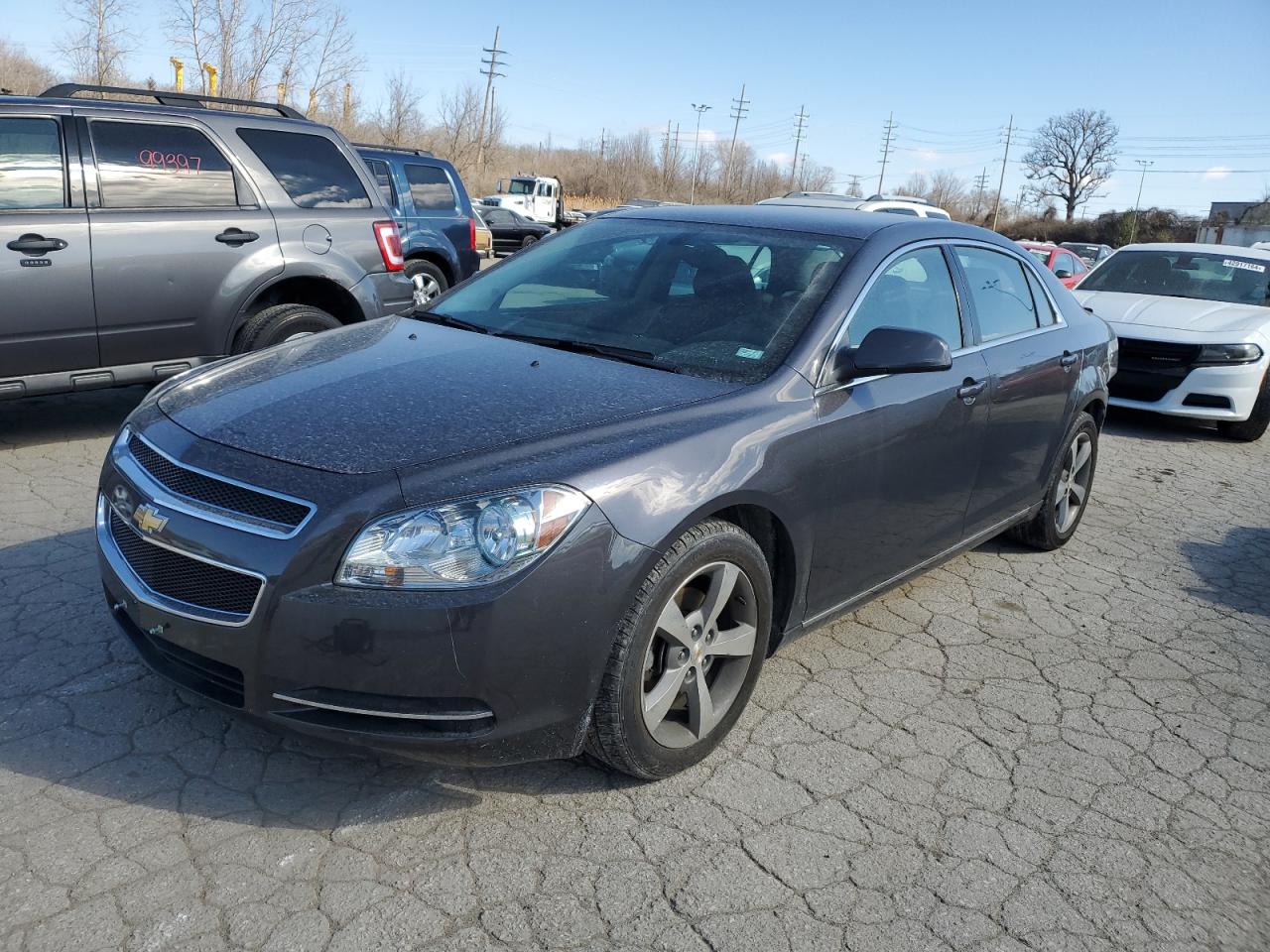 CHEVROLET MALIBU 2011 1g1zc5e19bf241688