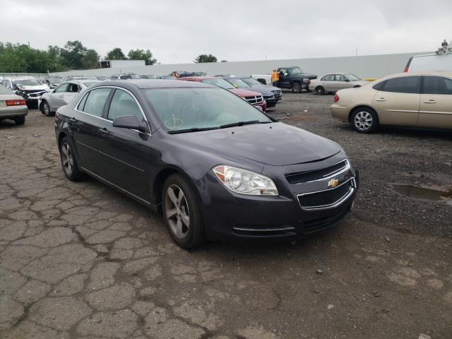 CHEVROLET MALIBU 1LT 2011 1g1zc5e19bf245871